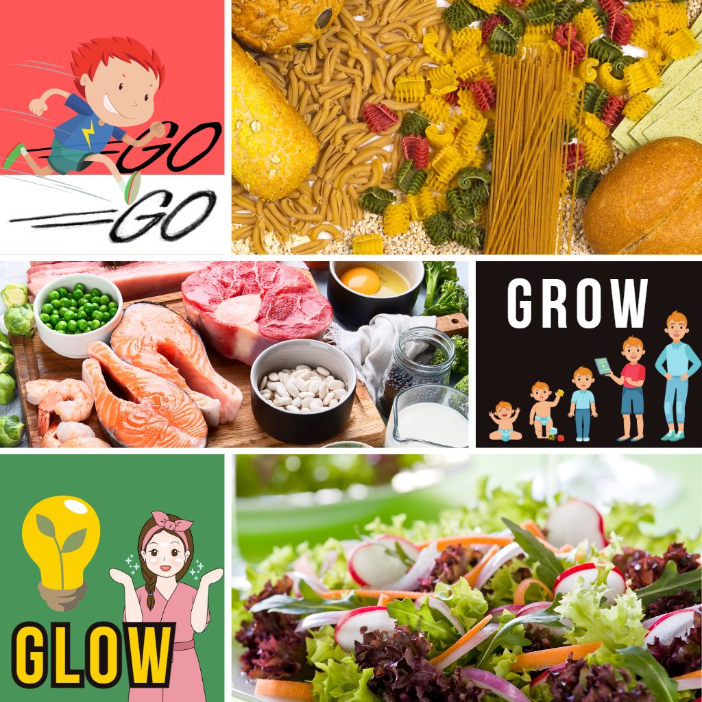 3 main food groups :glow food, grow food, go food